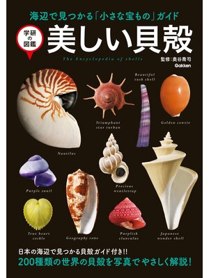 cover image of 美しい貝殻